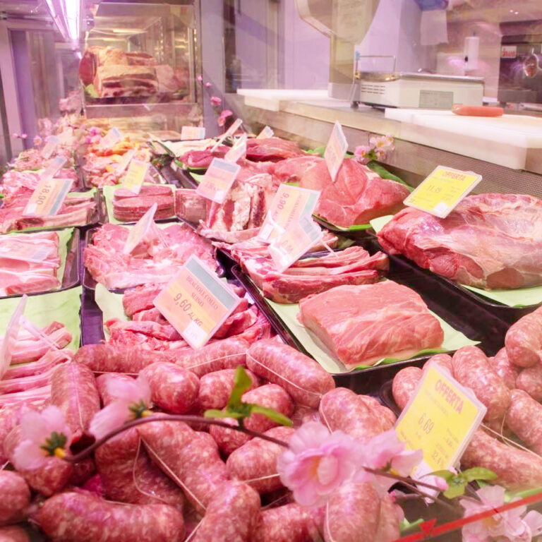 350504836_1934410783595476_2451896627215624871_n